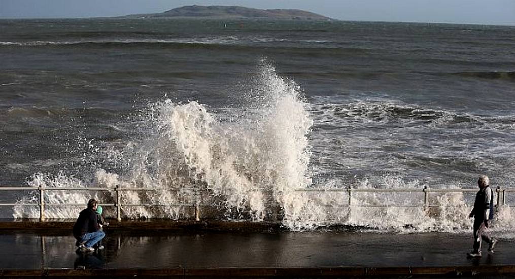 Deadly Jellyfish Spotted On Irish Beaches