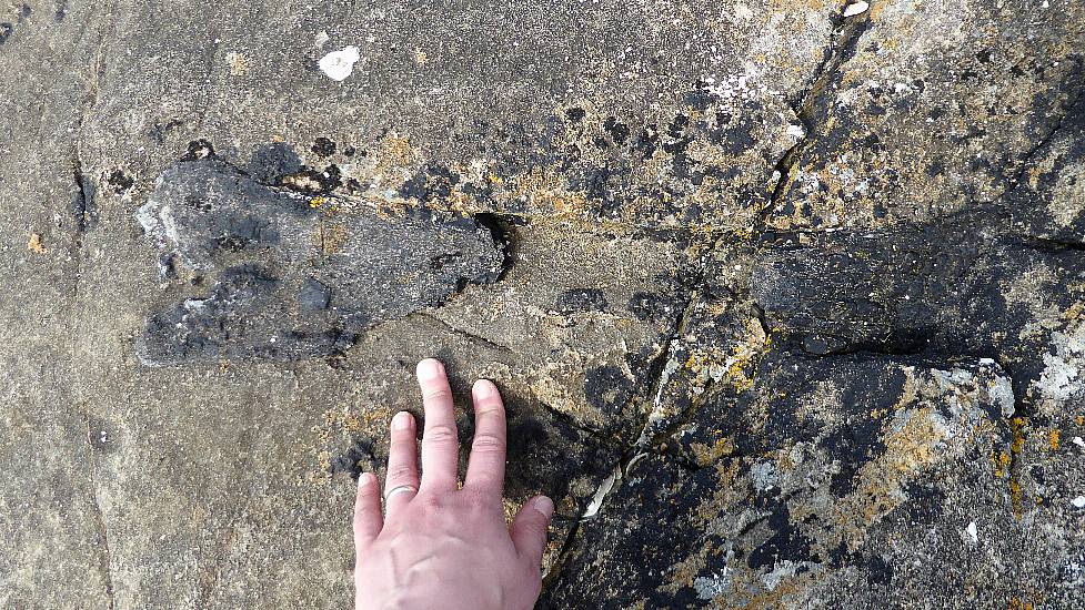 166 Million Year Old Dinosaur Bone Found On Island Off Scotland