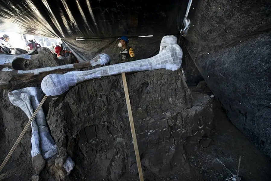 The find was made at the construction site of Mexico City’s new airport in the Santa Lucia military base (Marco Ugarte/AP)