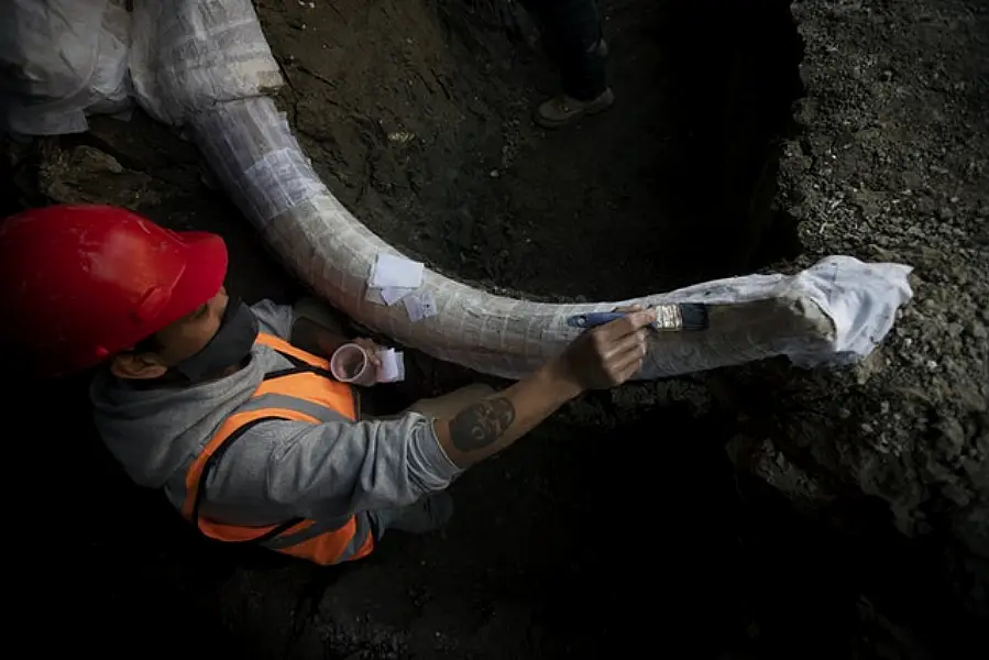 At least 200 sets of mammoth remains have been unearthed (Marco Ugarte/AP)