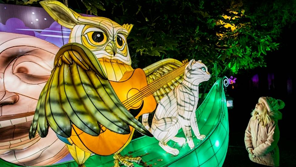 Dublin Zoo Cancels Annual Wild Lights Exhibition