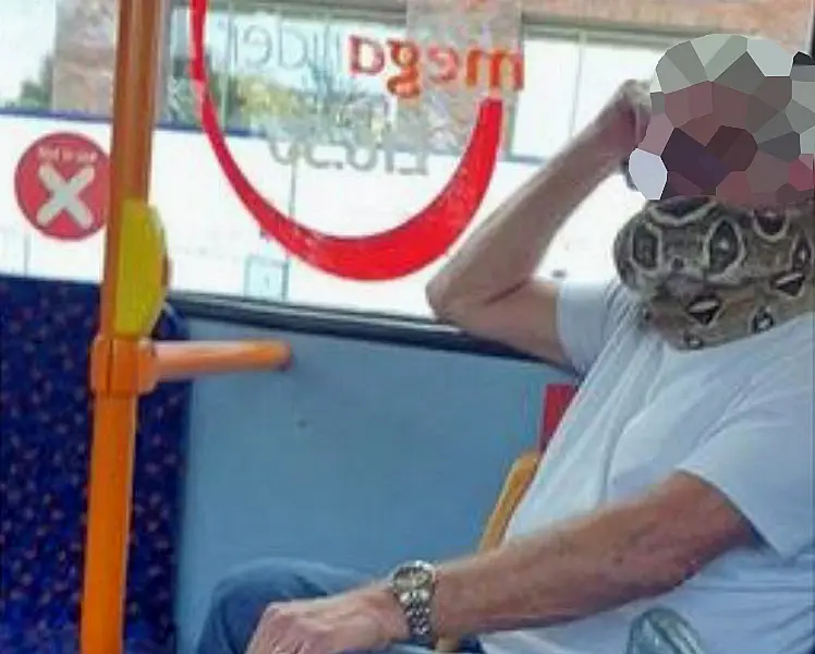 One passenger said she initially thought the man was wearing a ‘funky mask’ P(A)