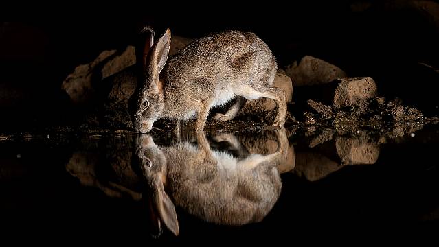 Irish Photographer's Award-Winning Work Part Of New Outdoor Exhibition