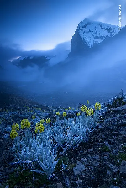 (Gabriel Eisenband/Wildlife Photographer of the Year 2020/PA)