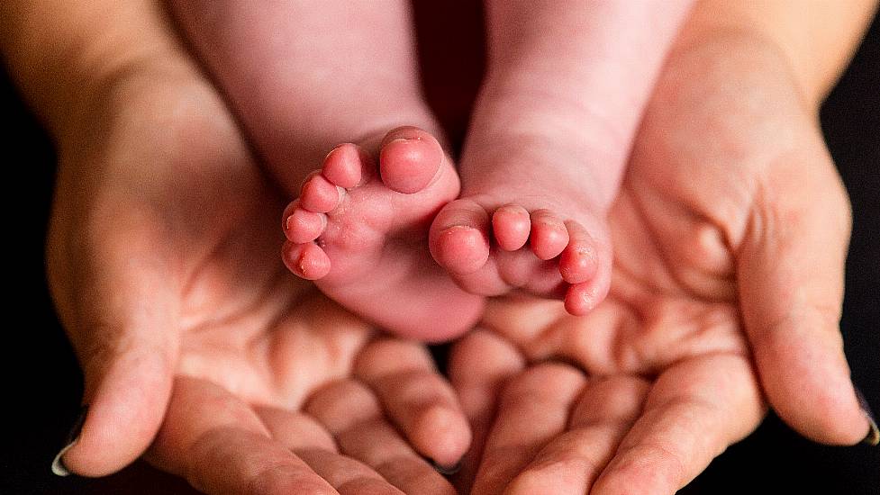 Freezing Embryos Does Not Increase Chances Of Pregnancy – Study