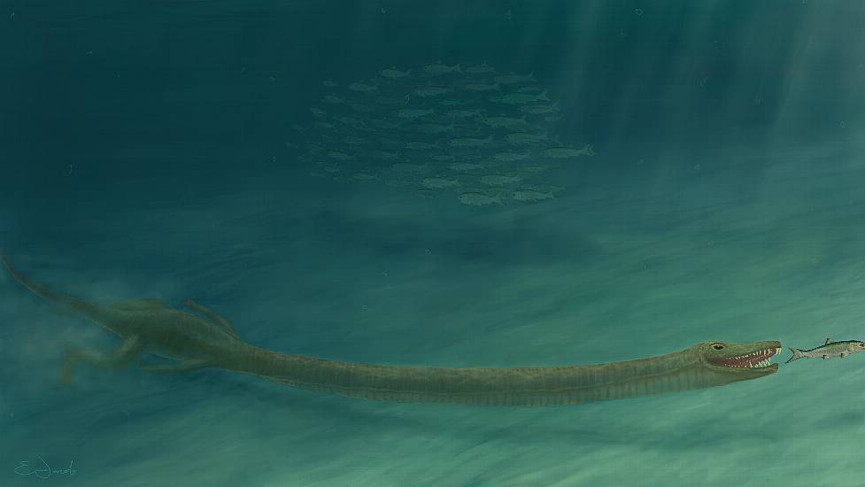 240-Million-Year-Old Reptile With Giraffe-Like Neck ‘Lived In Ocean’