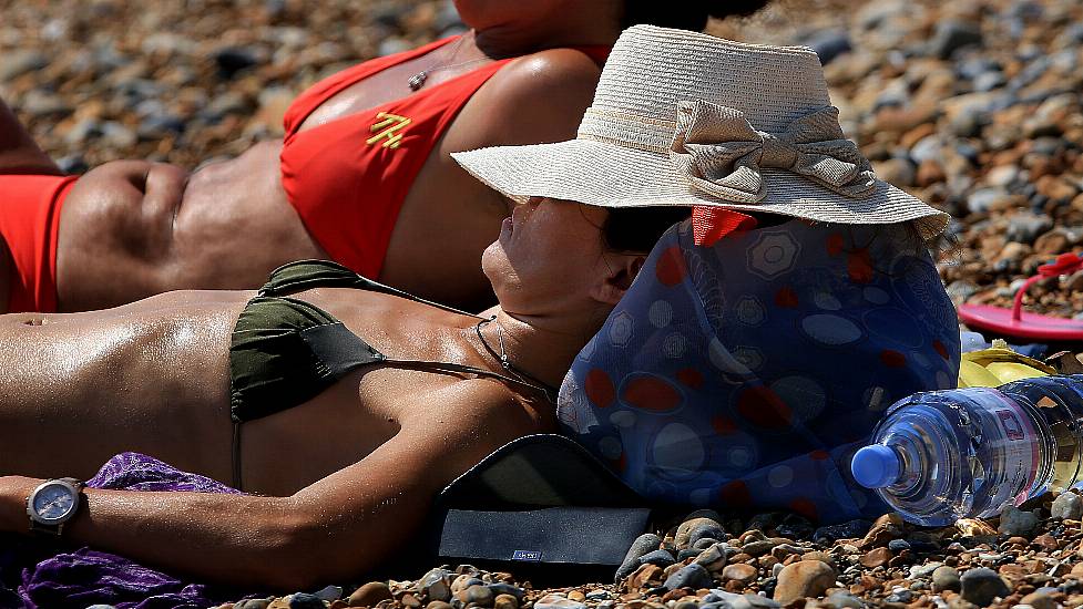 Sun-Seeking Behaviour Could Be Driven By Genes, Say Scientists