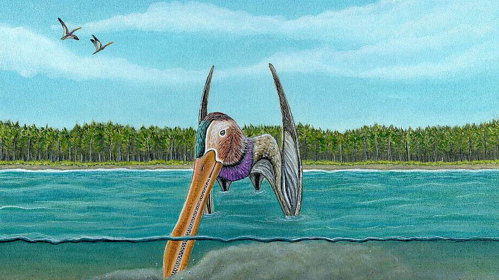 Pterosaurs Evolved Sensitive Beaks To Find Food, Study Suggests