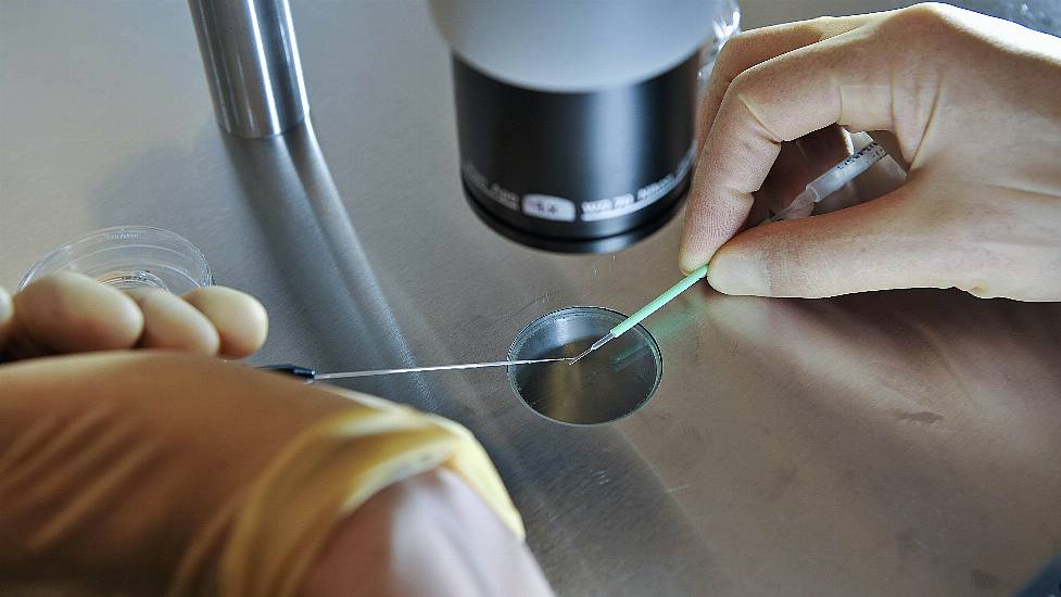 Lack Of Transparent Data On Egg Freezing Creating Ethical Issues, Experts Warn