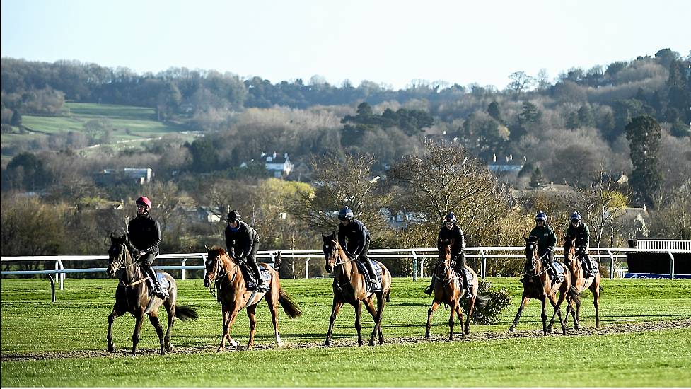 Profits At Dermot Weld's Curragh Horse Racing Firm Increase To €4.47 Million