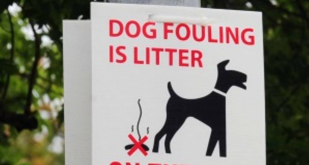 'Sting Operation' Catches Carlow Dog Fouling Offender