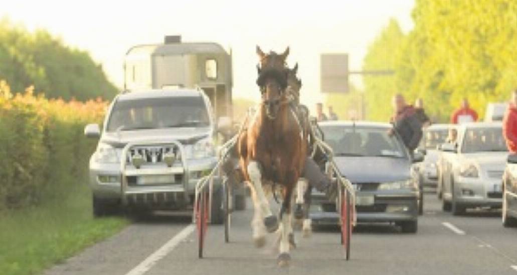 Gardaí Arrest Two Men Following Alleged Sulky Race In Limerick