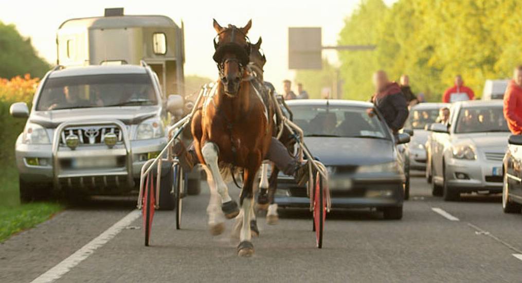 Gardaí Appeal For Information After Dangerous Sulky Race Caused Traffic Chaos