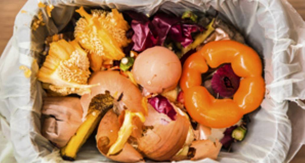 Irish Houses And Restaurants Dumping 100Kg Of Food Per Person Each Year