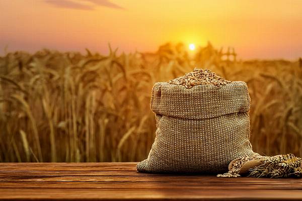 Poland, Ukraine To Resume Grain Transit Talks