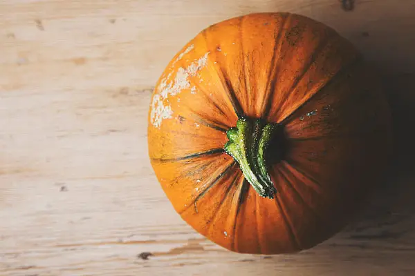 Pumpkins Larger This Year, Notes Tesco UK