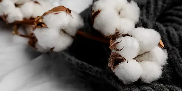 Sustainable Cotton Group Boosts Tracking For Top Retailers