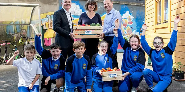 Tesco Ireland Expands Its Stronger Starts Programme To 81 Dublin Schools