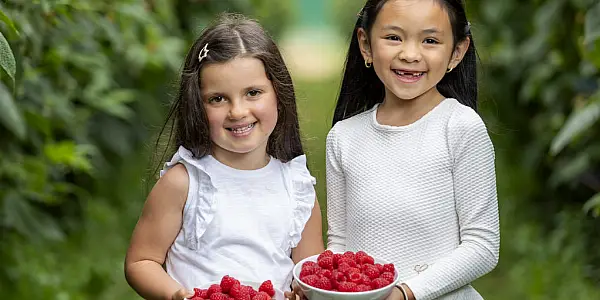 SuperValu Predicts Sale Of 1m Raspberry Punnets Across Summer Months