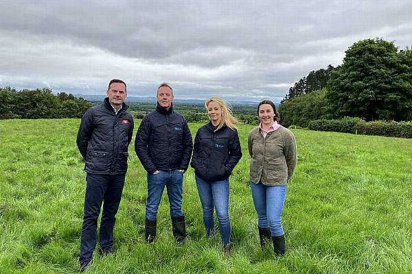 Sysco Ireland And ABP Launch Regenerative Farming Project