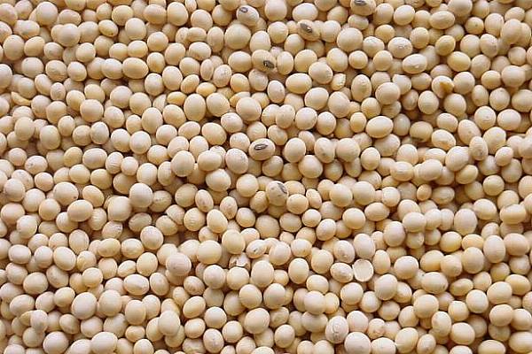 Soybeans Slip To 10 Year Low As US-China Trade Tensions Mount