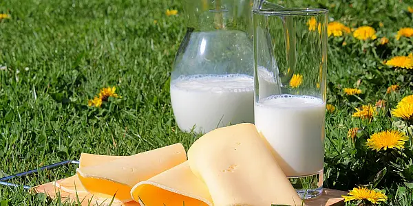 Global Dairy Price Index Enjoys Third Consecutive Growth