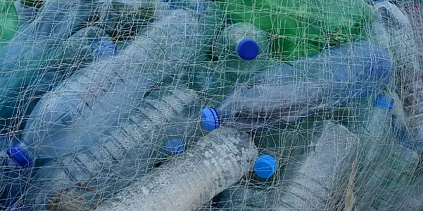 Kingspan Commits To Recycling 1bn Plastic Bottles A Year By 2025