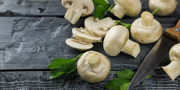 UK ‘Very Important’ For Mushroom Producers Due To Short Shelf Life