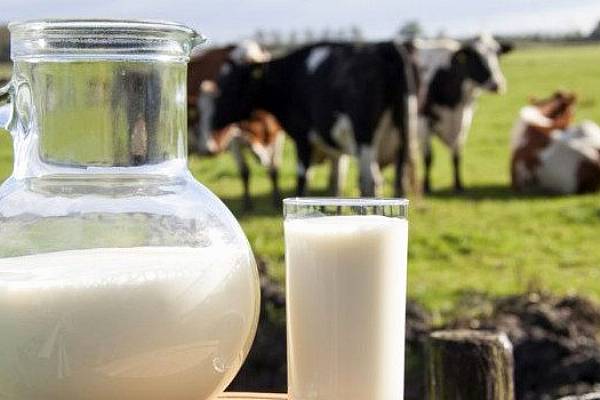 Glanbia Holds Its September Milk Price For October Supplies