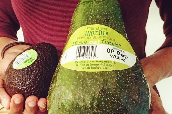 Tesco Ireland Announces The Return Of The ‘Avozillas’