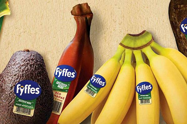 Fyffes Set To Unveil Its New Red Banana At Spanish Fruit Show