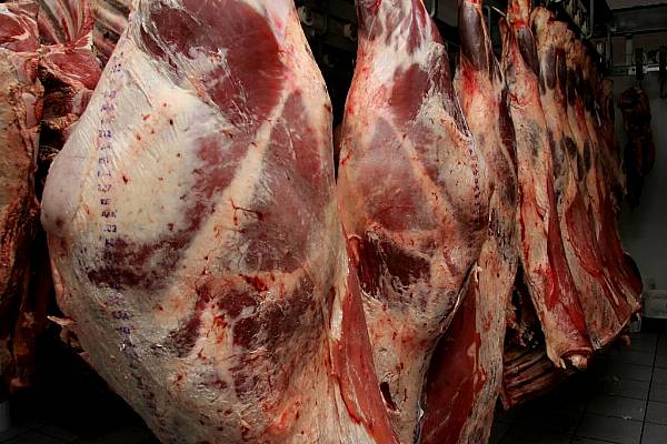 British Meat Industry Warns Of Border Chaos As Delays Halt Exports