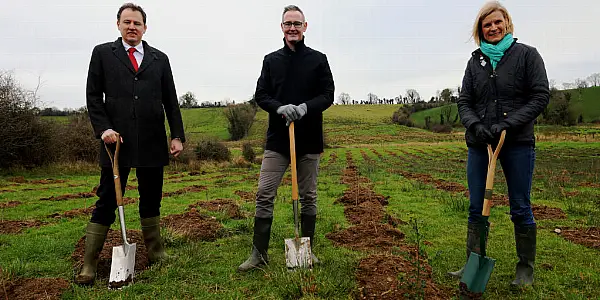 Boots Plants 15,000 Trees To Celebrate 25 Years in Ireland