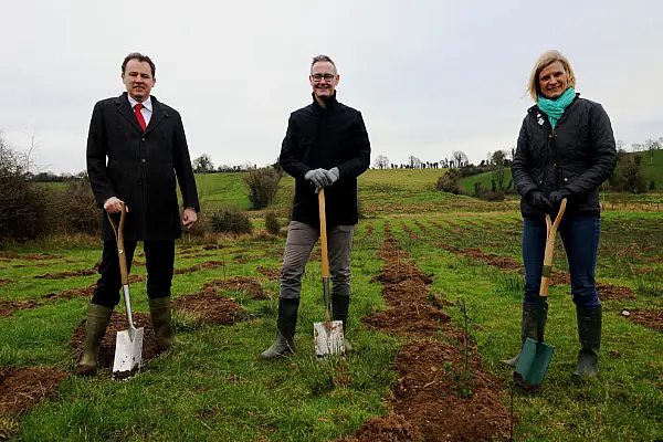 Boots Plants 15,000 Trees To Celebrate 25 Years in Ireland