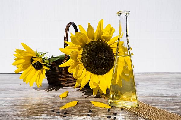 Sunflower Oil Prices Slide On Resumed Ukraine Supplies