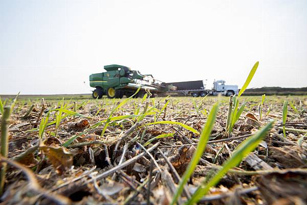 Cargill Aims To Boost Ships' Use Of Biofuel, Methanol To Cut Emissions