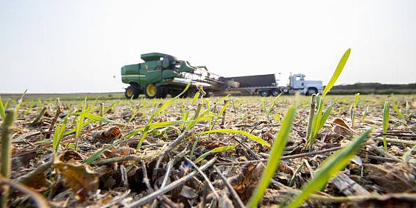 Cargill Aims To Boost Ships' Use Of Biofuel, Methanol To Cut Emissions