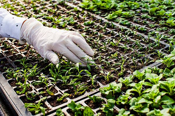 7 Ways Food Technology Is Transforming The Global Food Industry