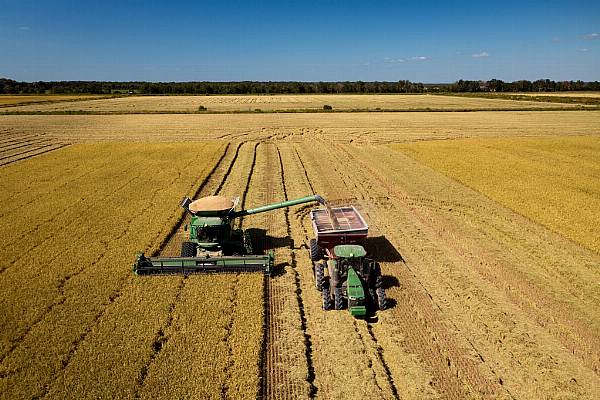 Brazil's Pesticides Market Faces Headwinds After Feeble 2023