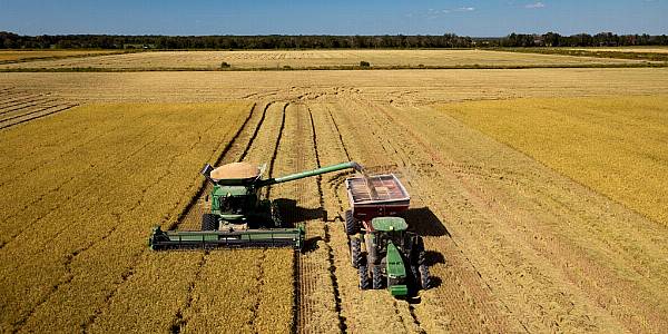 Brazil's Pesticides Market Faces Headwinds After Feeble 2023