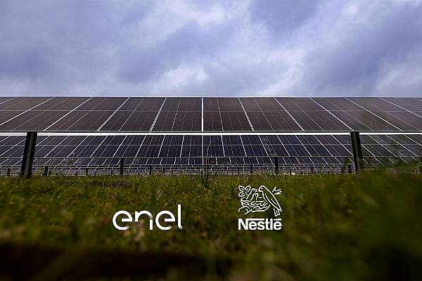 Nestlé Announces Investment In Texas-Based Solar Project