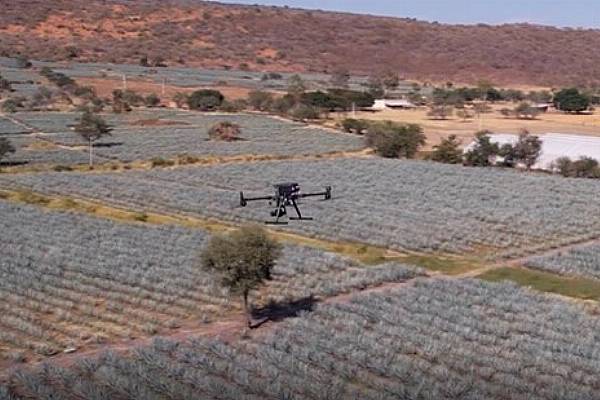 Diageo Introduces Drones To Assist Tequila Farming In Mexico