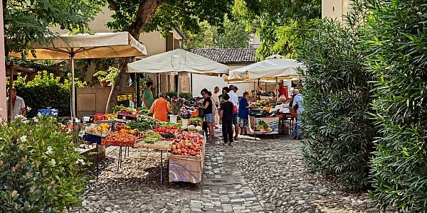 Fruit Harvest Faces Ruin After Floods Hit Italy's Emilia-Romagna