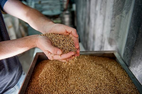 Australia's United Malt Agrees Takeover Offer From France's InVivo