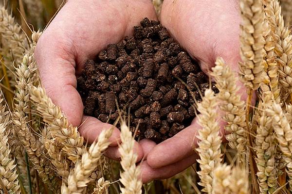 Nestlé Trials Developing Low-Carbon Fertiliser From Cocoa Shells