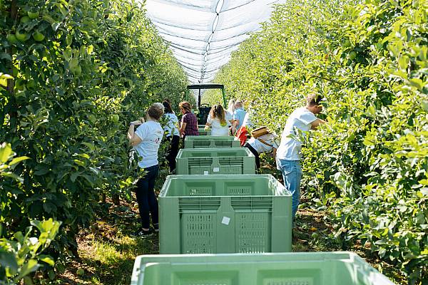 Croatia's Studenac Partners With Family Farms In Slavonia Region