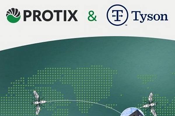 Tyson Foods Teams Up With Protix To Boost Sustainable Protein Production