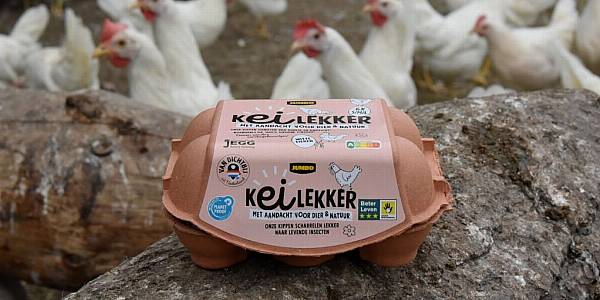 Jumbo Launches Three-Star 'Beter Leven' Certified Eggs