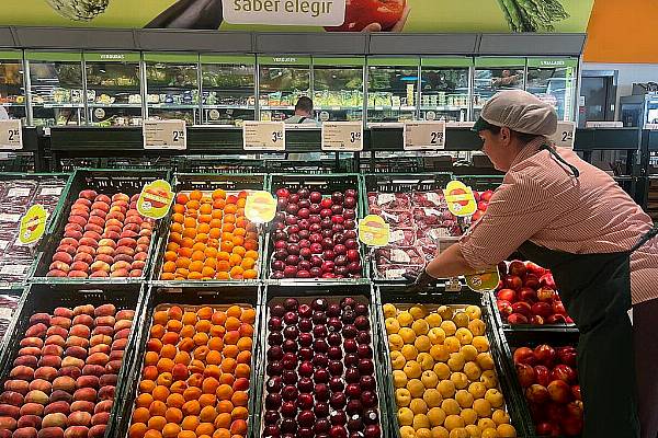 Consum Increases Purchase Of Local Stone Fruit By A Fifth