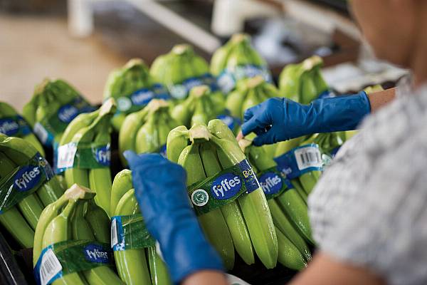 Welcome To Fyffes 2.0 – Helge Sparsoe, Fyffes CEO, Talks To ESM